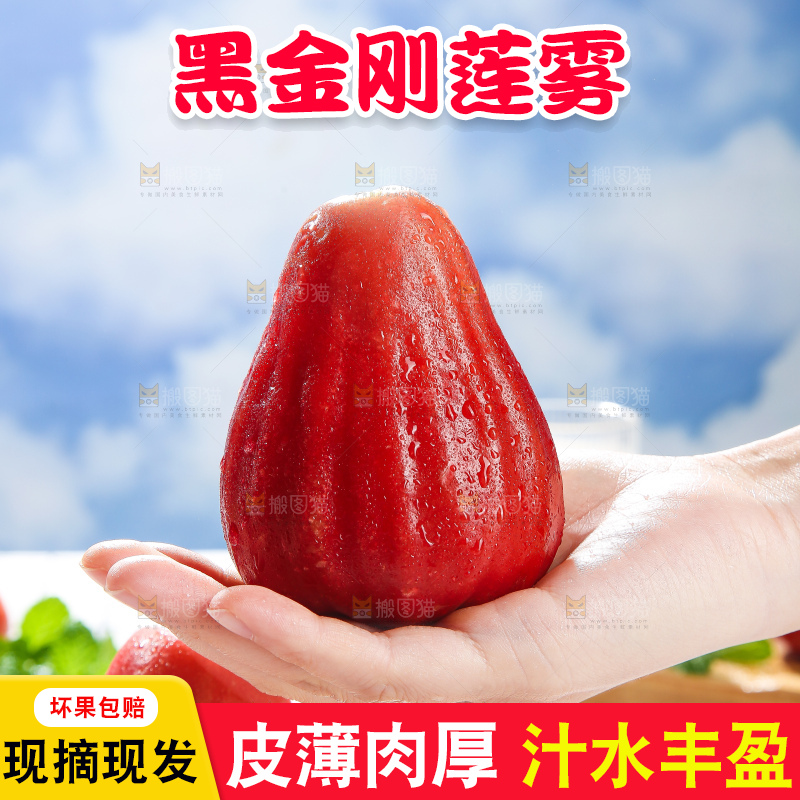 浅底上的莲雾