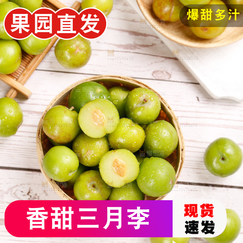 浅底上的三月李