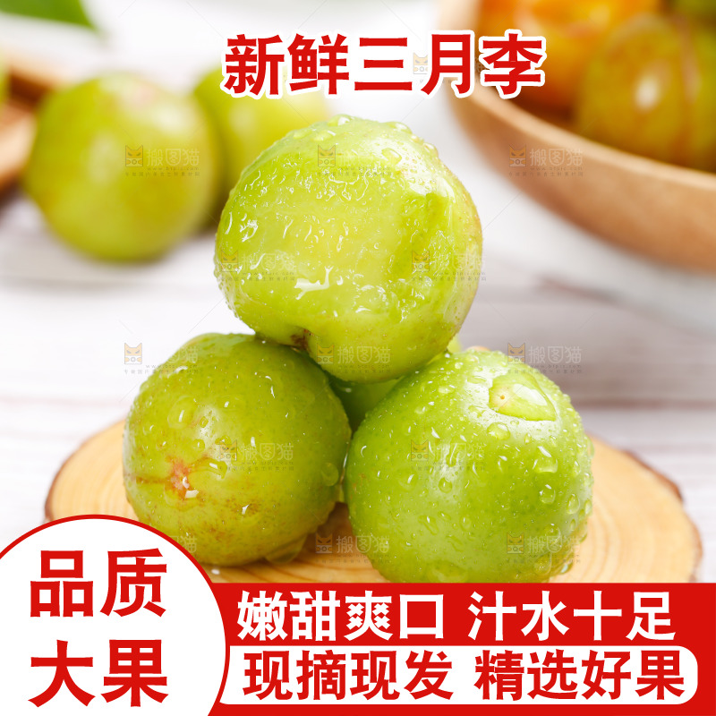 浅底上的三月李