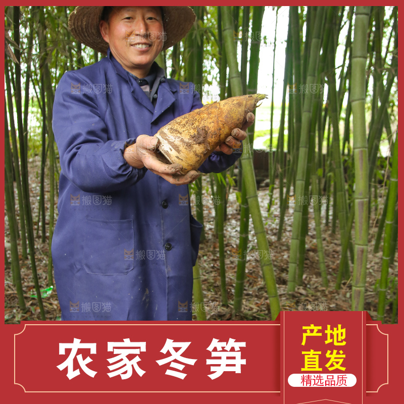 手里拿着冬笋