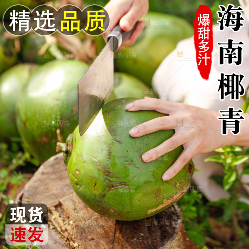 手里拿着椰青