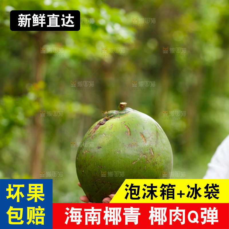 手里拿着椰青
