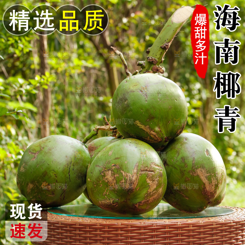 手里拿着椰青