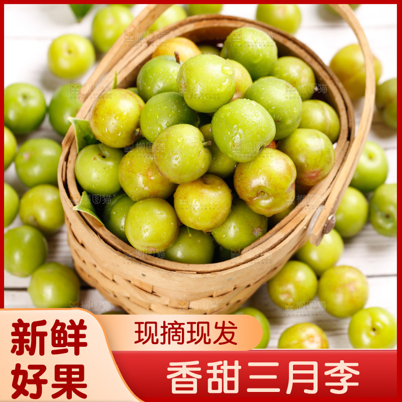 浅底上的三月李