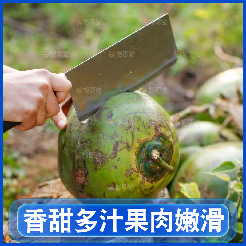 手里拿着椰青