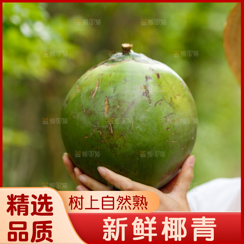 手里拿着椰青