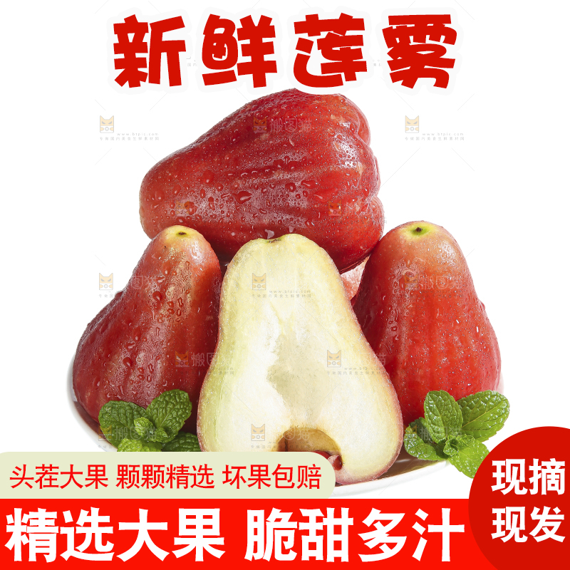 白底上的新鲜莲雾