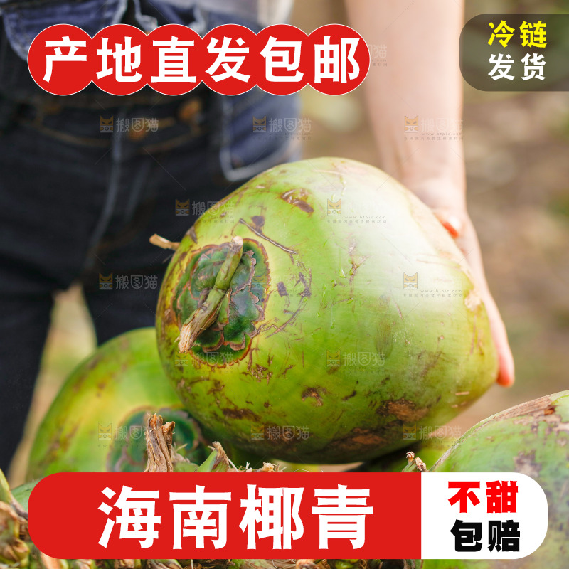 手里拿着椰青