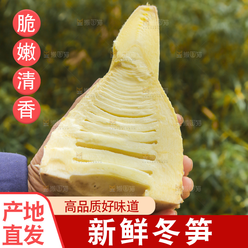 手里拿着冬笋