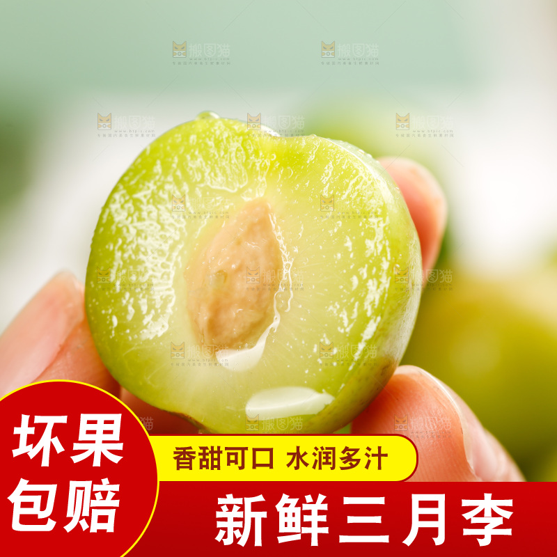 浅底上的三月李