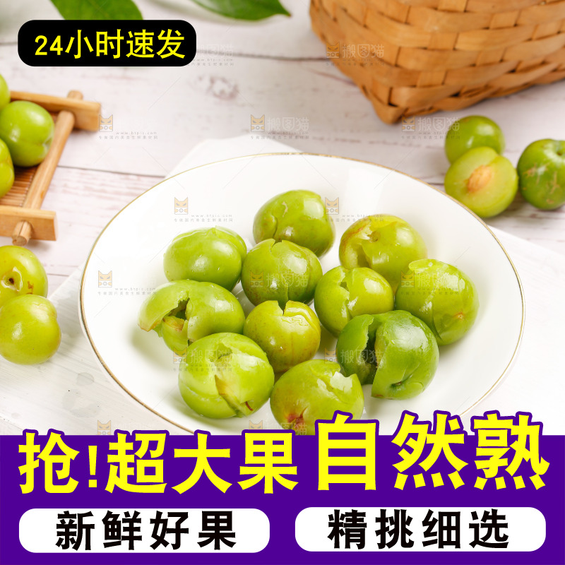 浅底上的三月李