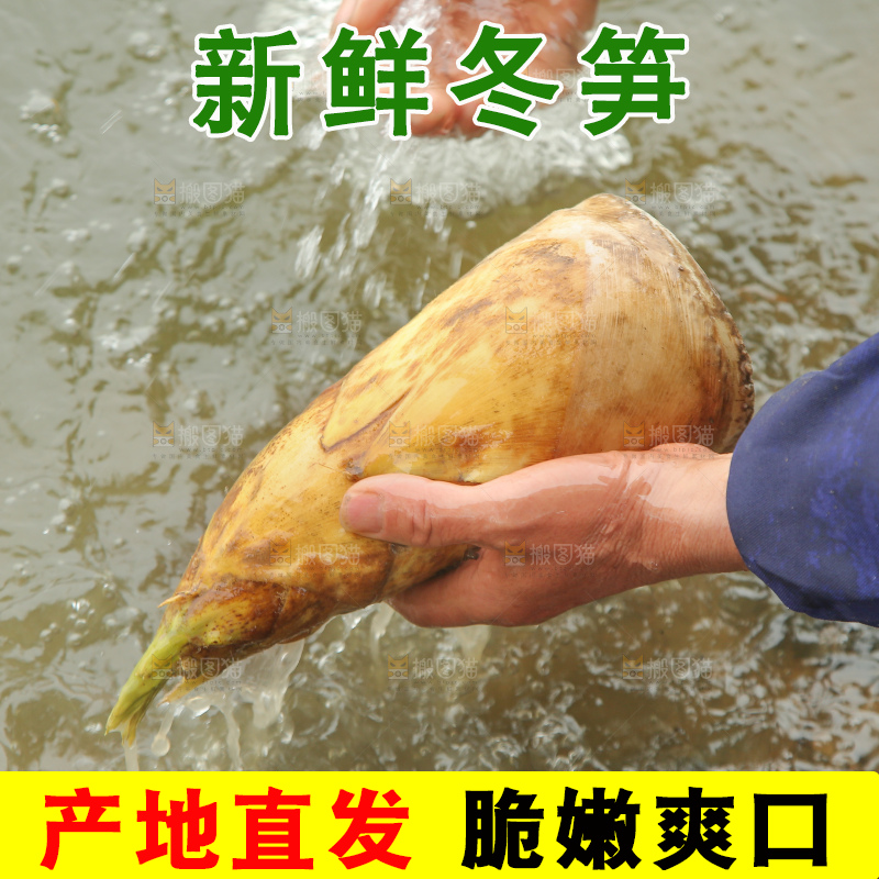 手里拿着冬笋