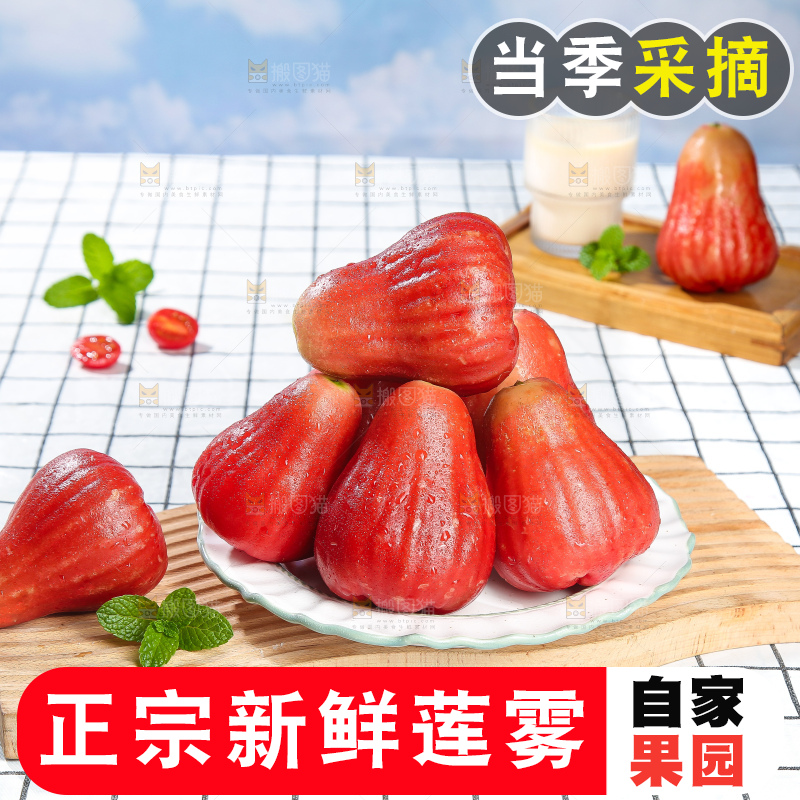 浅底上的莲雾