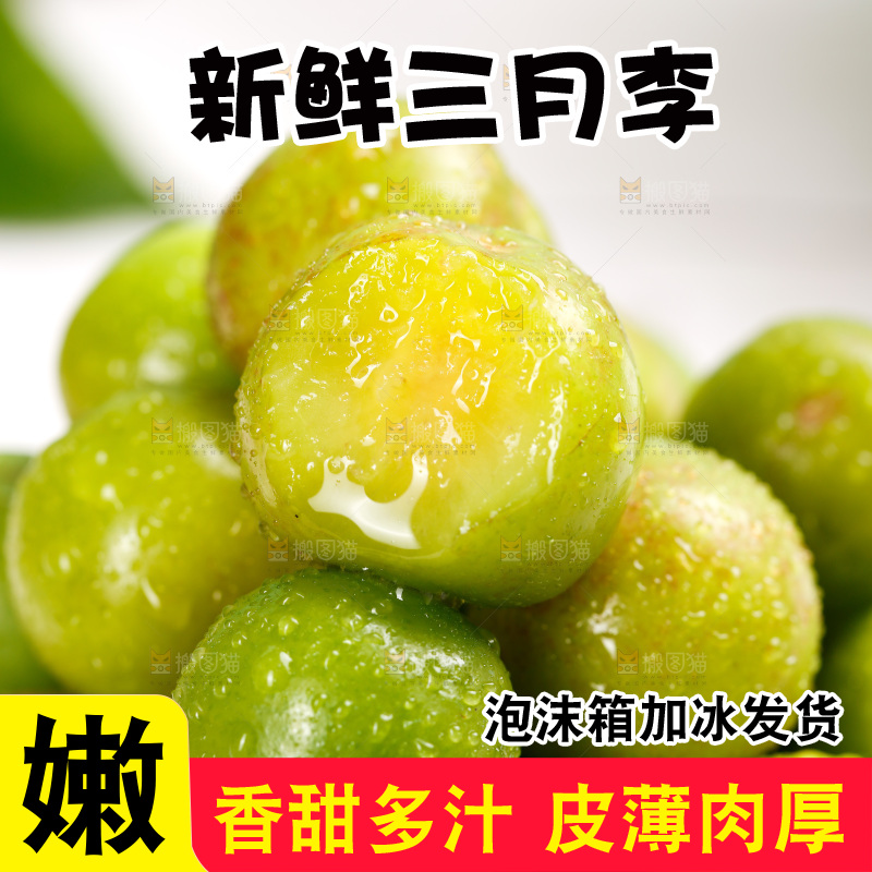 浅底上的三月李