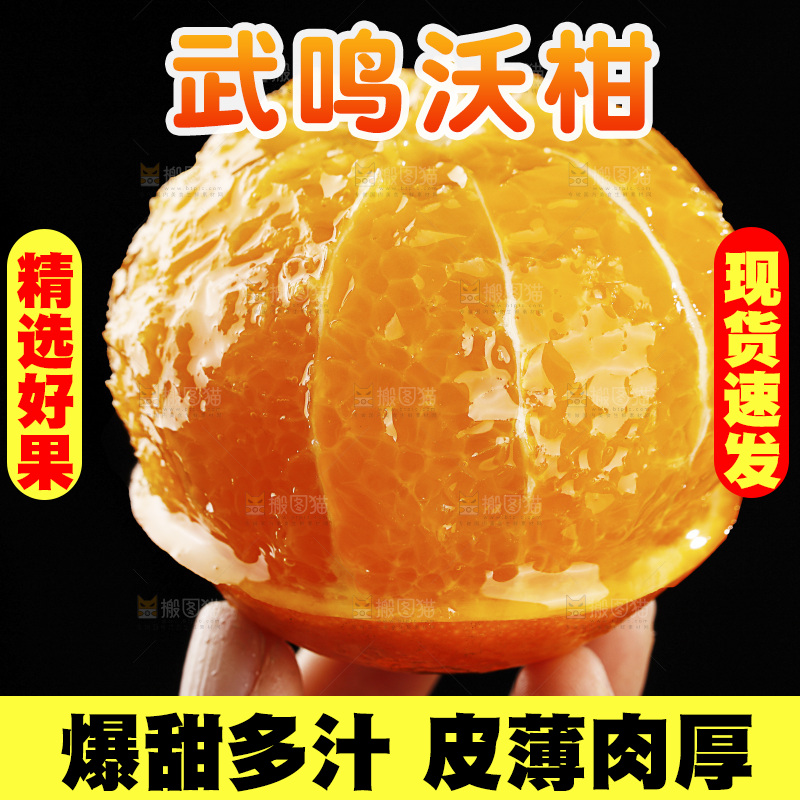 手里拿着武鸣沃柑