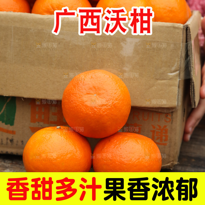 手里拿着武鸣沃柑