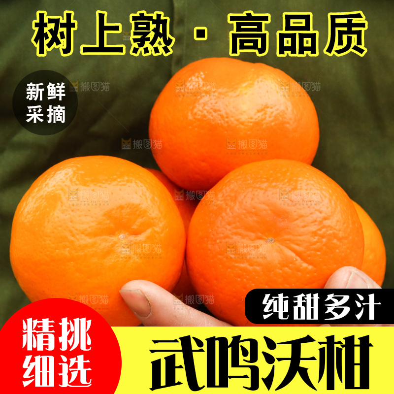 手里拿着武鸣沃柑