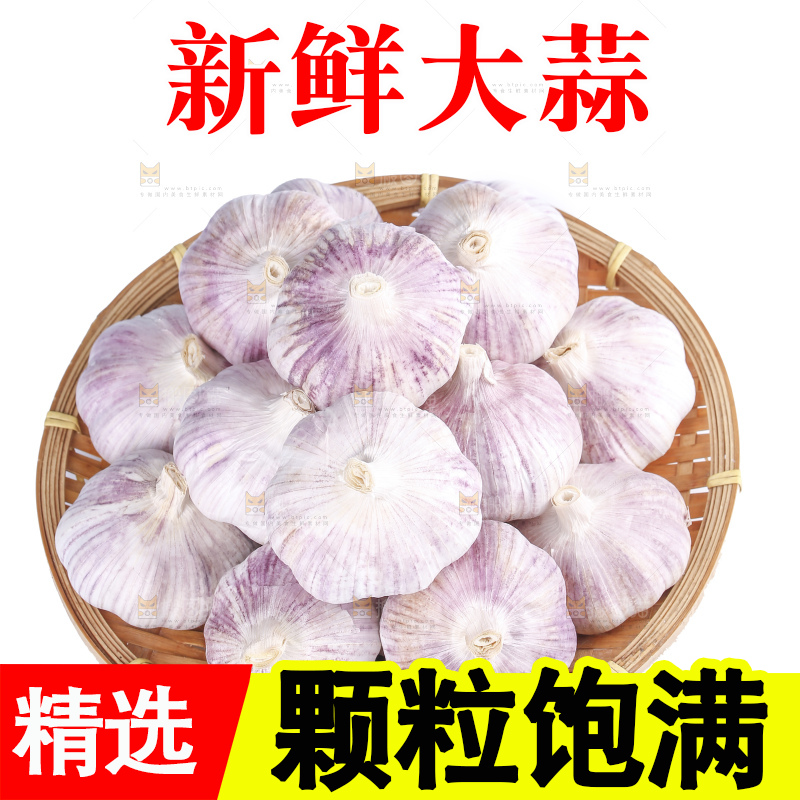 白底上的干蒜