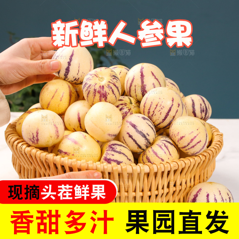浅底上的人参果