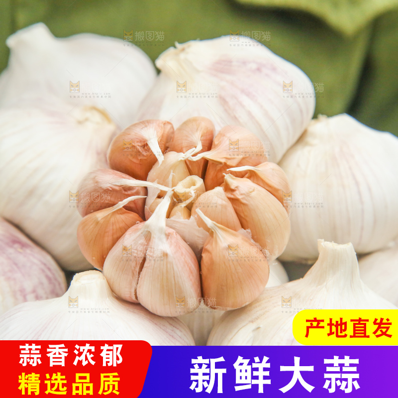 手里拿着干大蒜