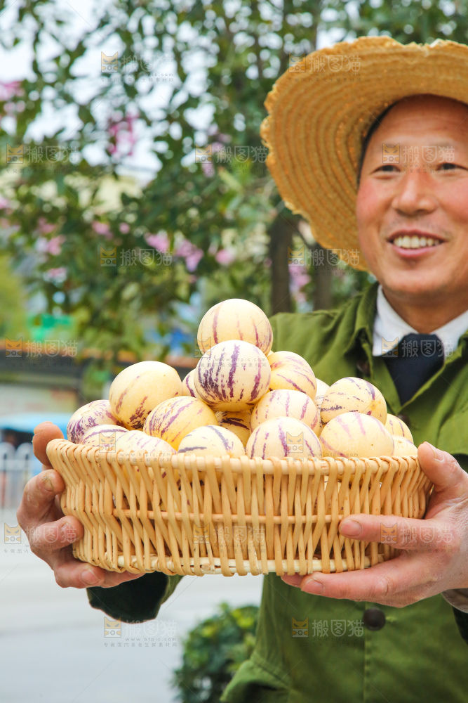 手里拿着人参果
