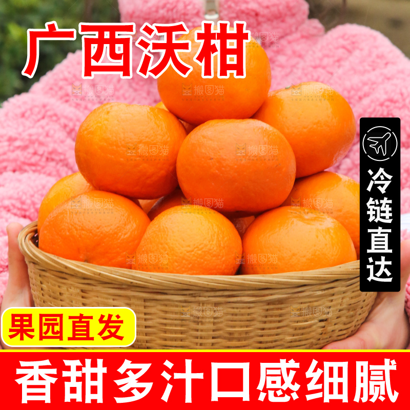 手里拿着武鸣沃柑