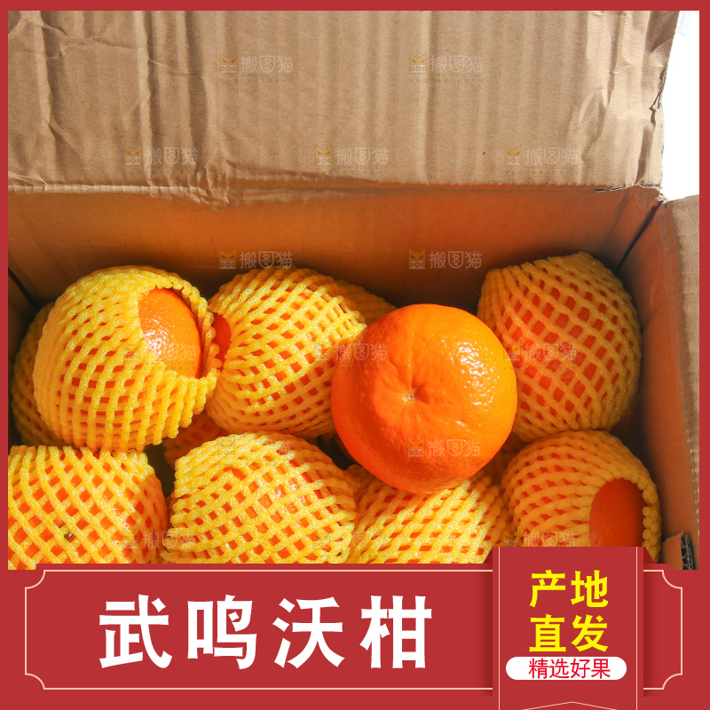 手里拿着武鸣沃柑