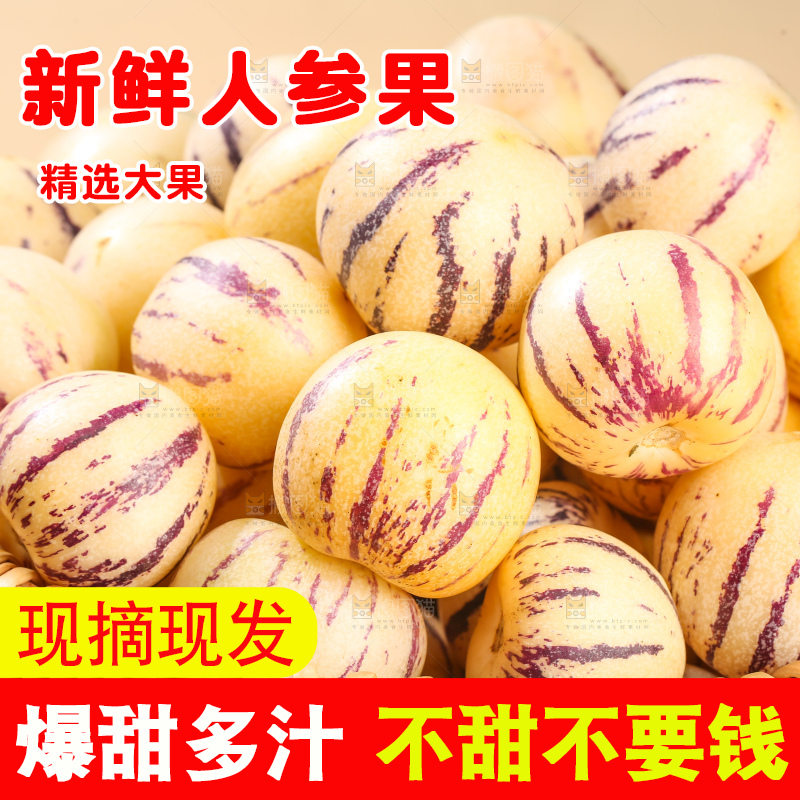 浅底上的人参果