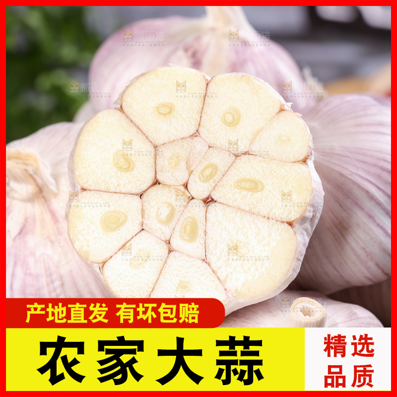 深底上的干大蒜