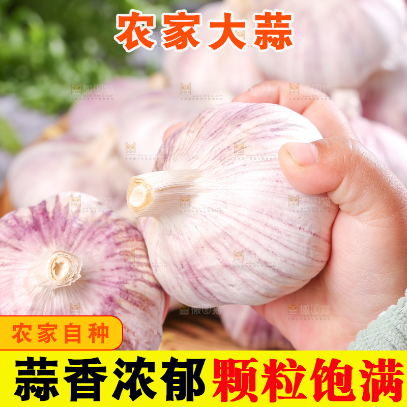 深底上的干大蒜