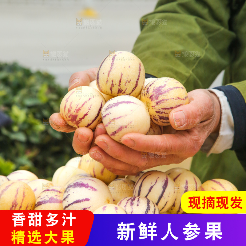 手里拿着人参果