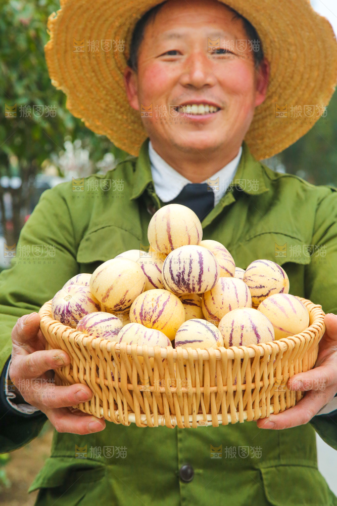 手里拿着人参果