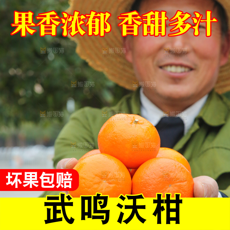 手里拿着武鸣沃柑