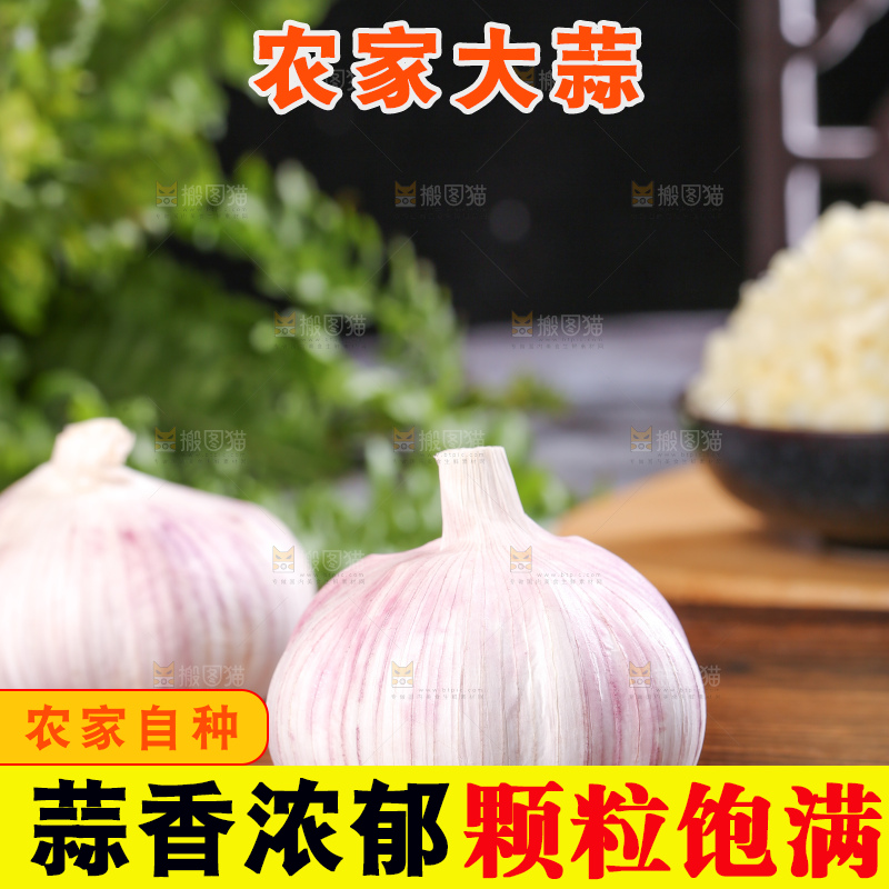 深底上的干大蒜