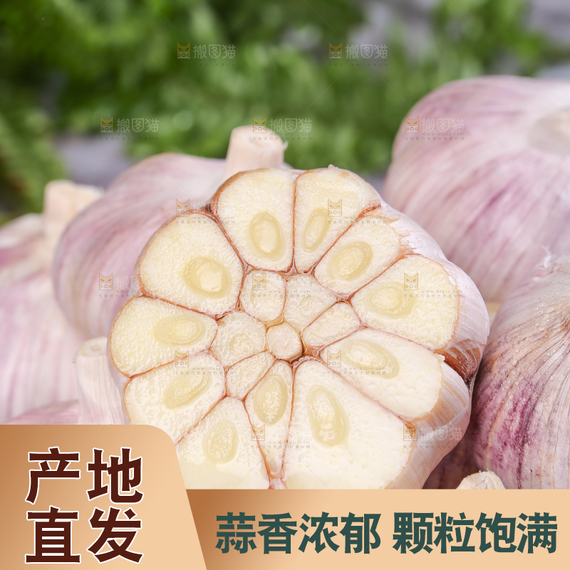 深底上的干大蒜