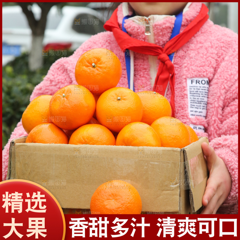 手里拿着武鸣沃柑