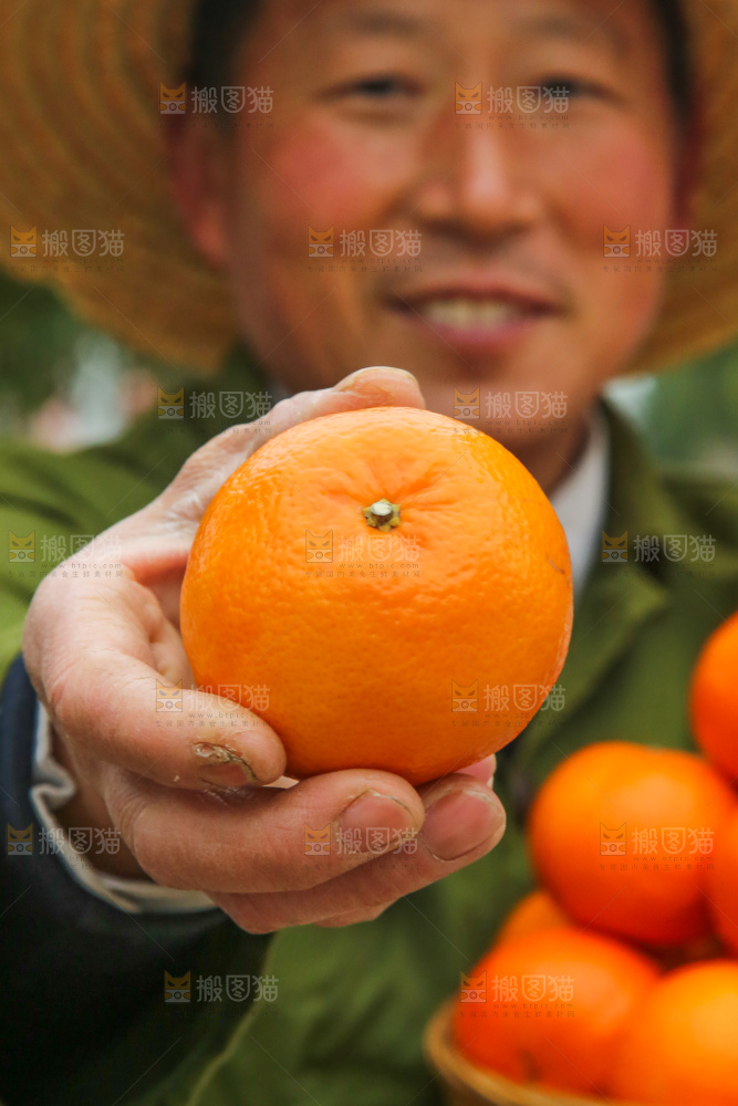 手里拿着武鸣沃柑