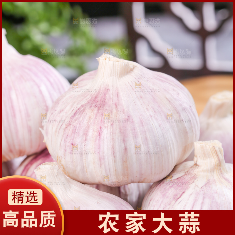 深底上的干大蒜