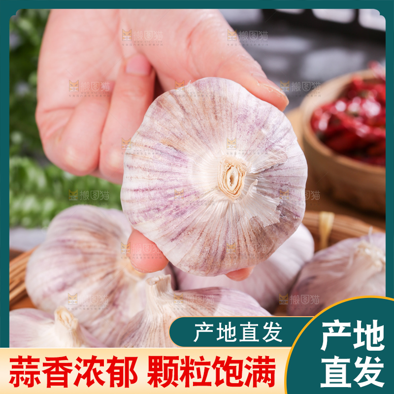深底上的干大蒜