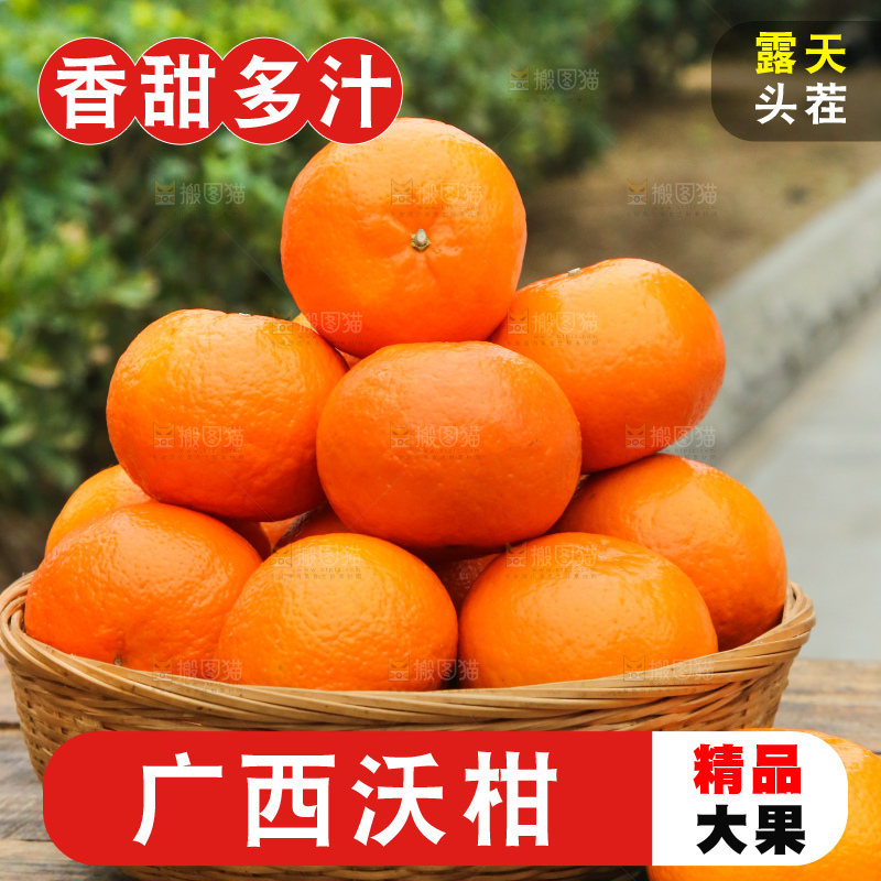 手里拿着武鸣沃柑