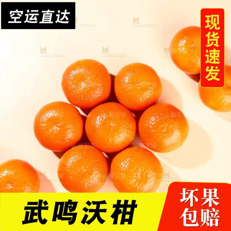 浅底上的武鸣沃柑