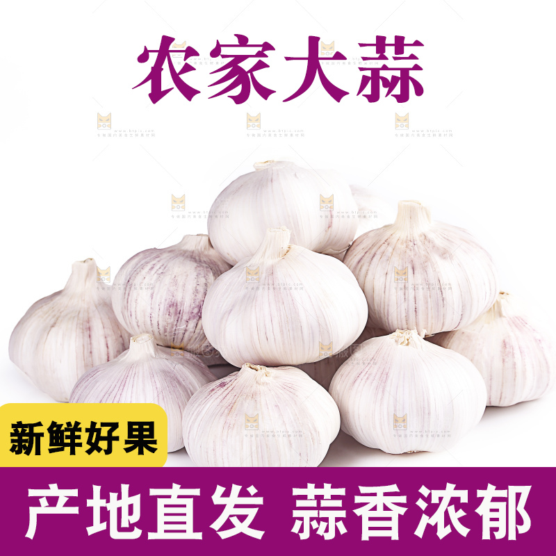 白底上的干蒜