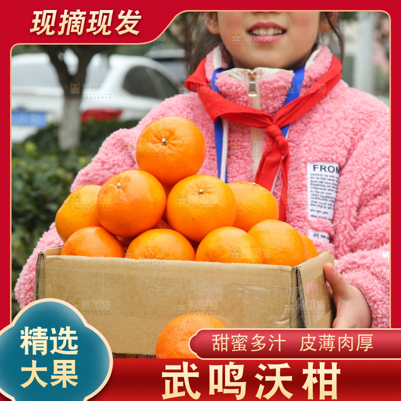 手里拿着武鸣沃柑