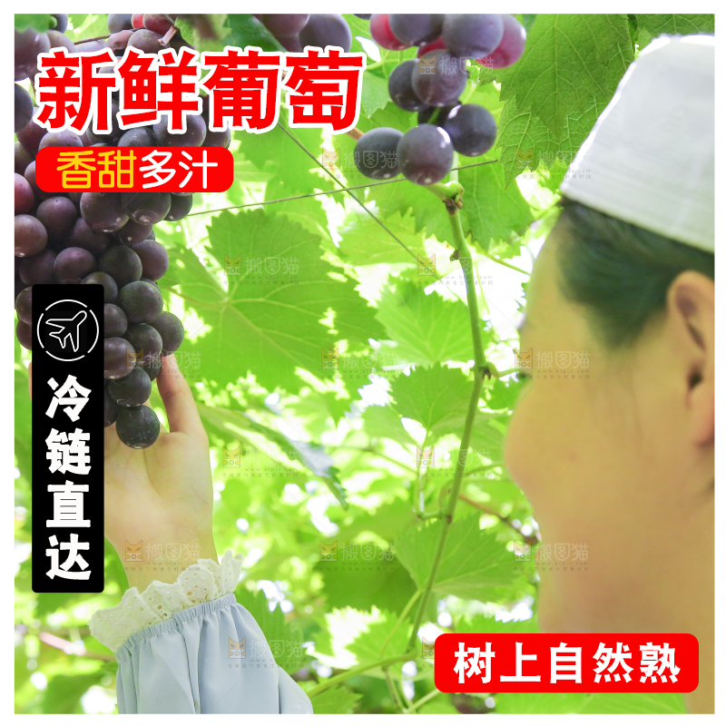 手里拿着新鲜紫葡萄