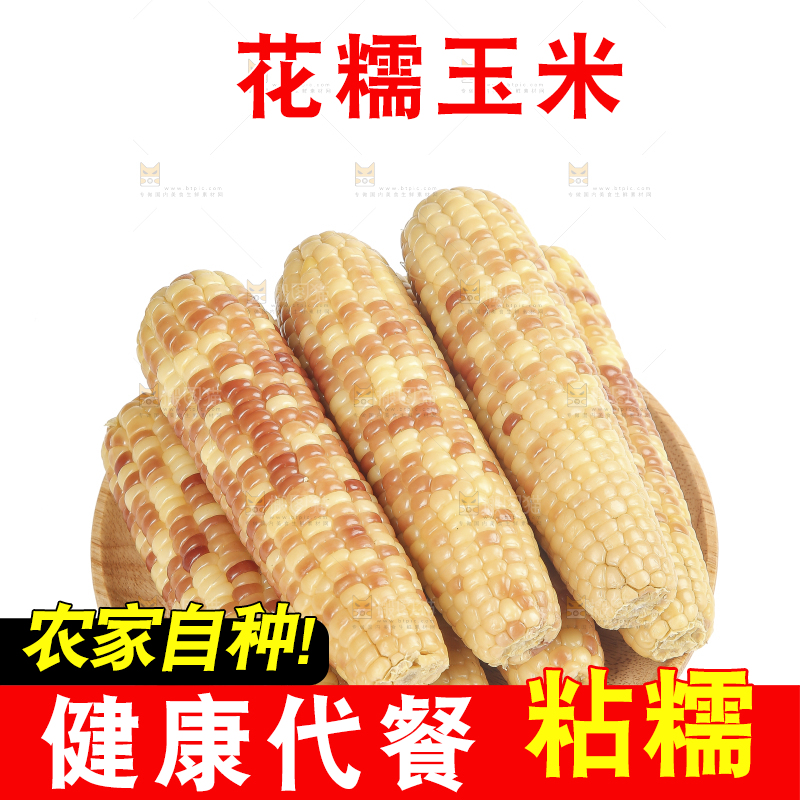 白底上的花糯玉米