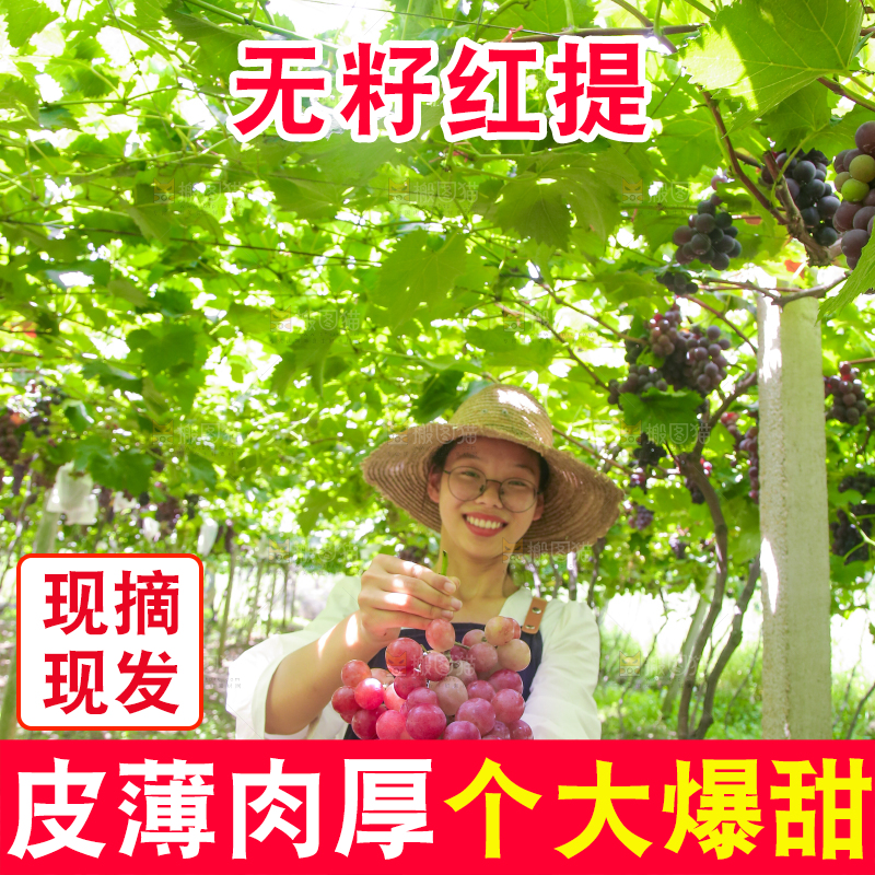 手里拿着新鲜葡萄