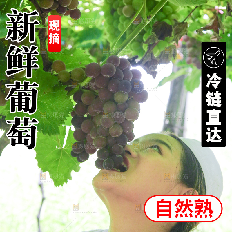 手里拿着新鲜紫葡萄