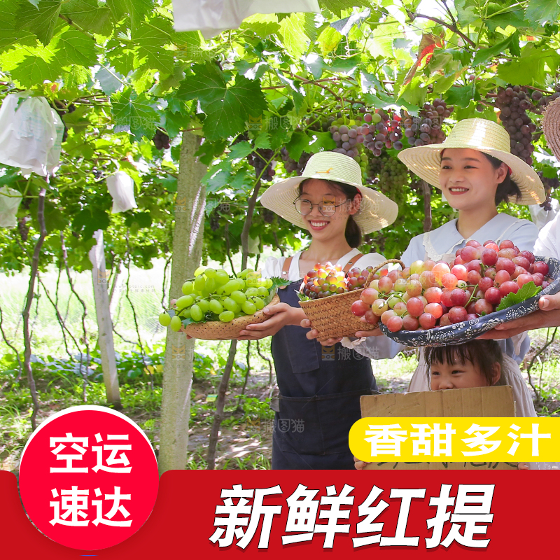 手里拿着新鲜葡萄