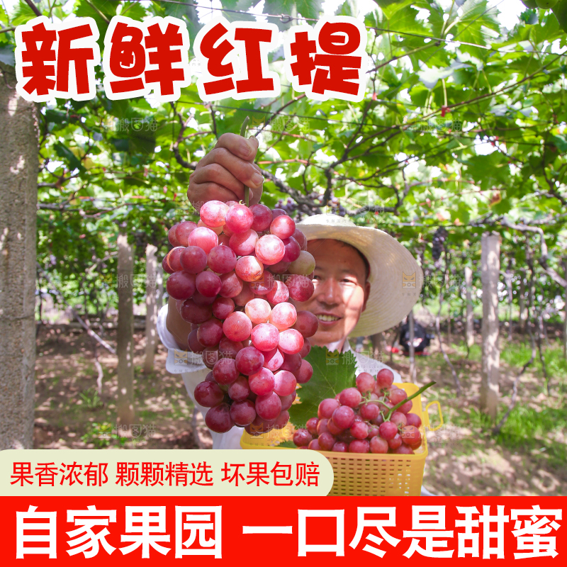 手里拿着新鲜葡萄