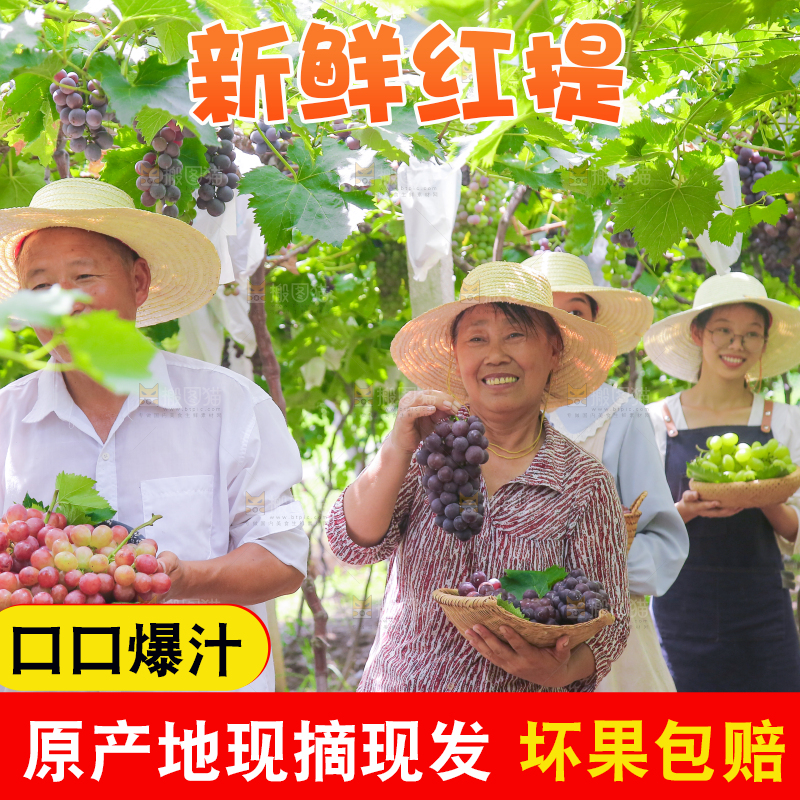 手里拿着新鲜葡萄